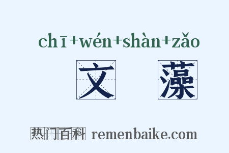 摛文掞藻是什么意思的图片